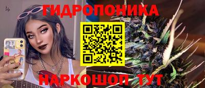jwh Будённовск