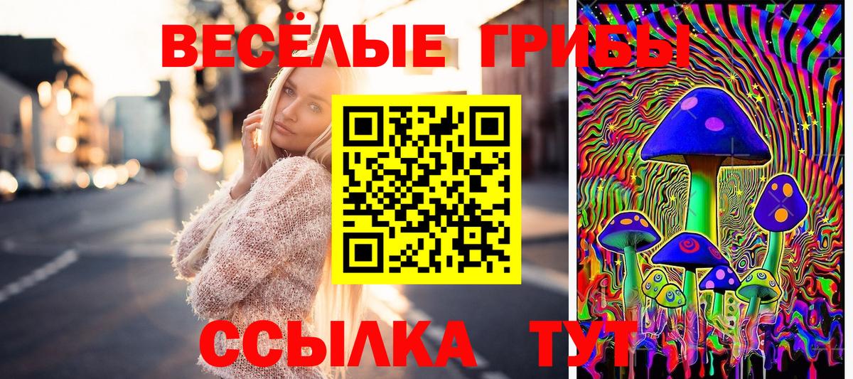 Волоколамск  где найти   Вход с VPN  Псилоцибиновые грибы Psilocybe  Галлюциногенные грибы ЛСД 